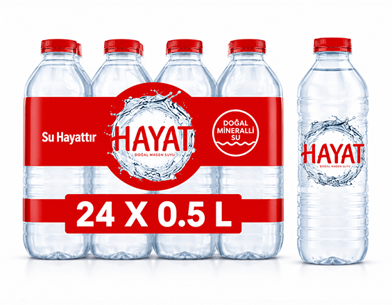 HAYAT 0.5 LT 24 LÜ PET SU