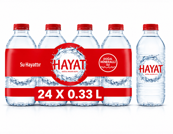 HAYAT 0.33 LT PET 24LÜ KOLİ