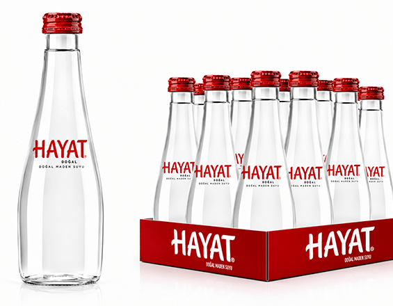HAYAT 0,33 CAM 12 Lİ
