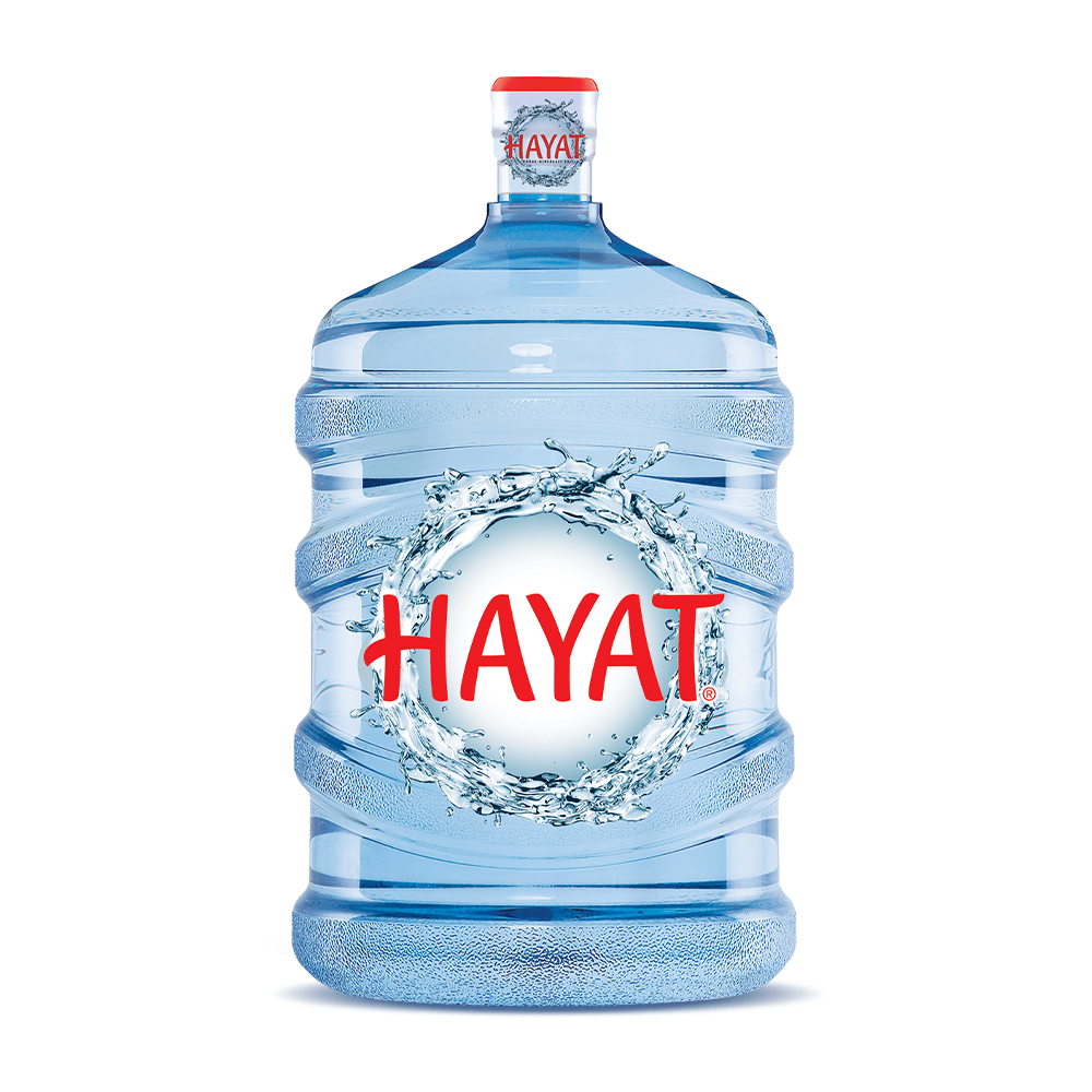 19 LT HAYAT DAMACANA